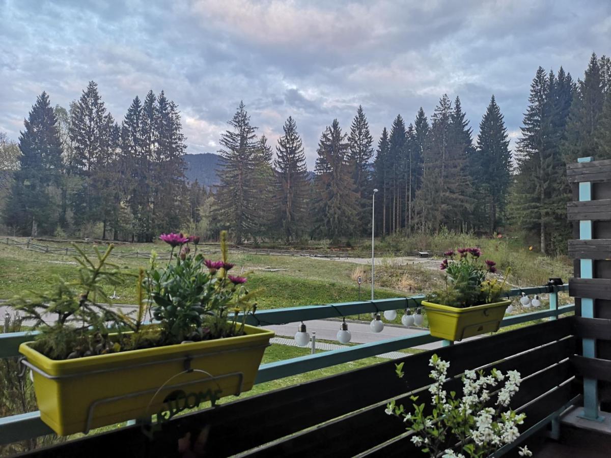 The Evergreen Nest - Silver Mountain Poiana Brasov Luaran gambar