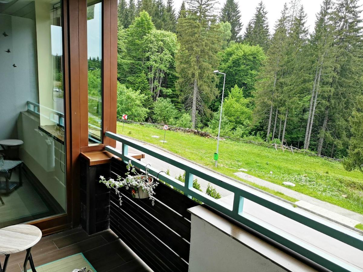 The Evergreen Nest - Silver Mountain Poiana Brasov Luaran gambar