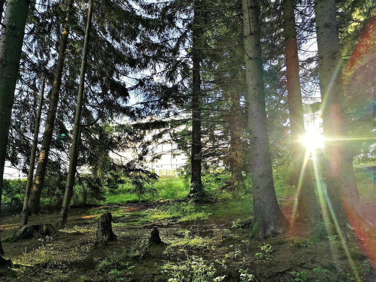 The Evergreen Nest - Silver Mountain Poiana Brasov Luaran gambar