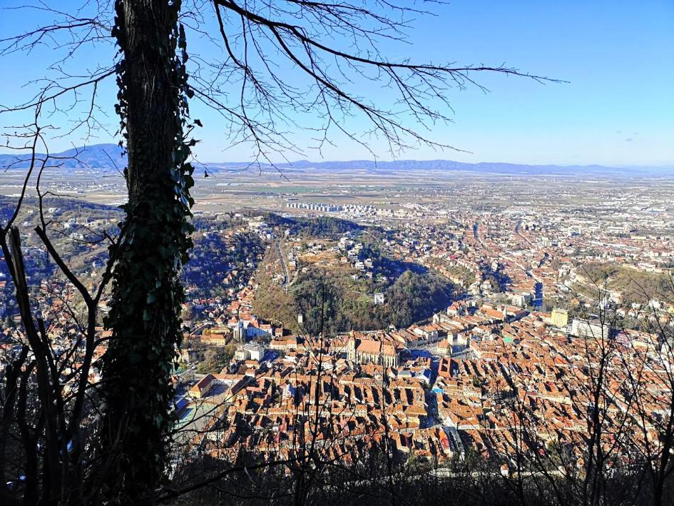The Evergreen Nest - Silver Mountain Poiana Brasov Bilik gambar
