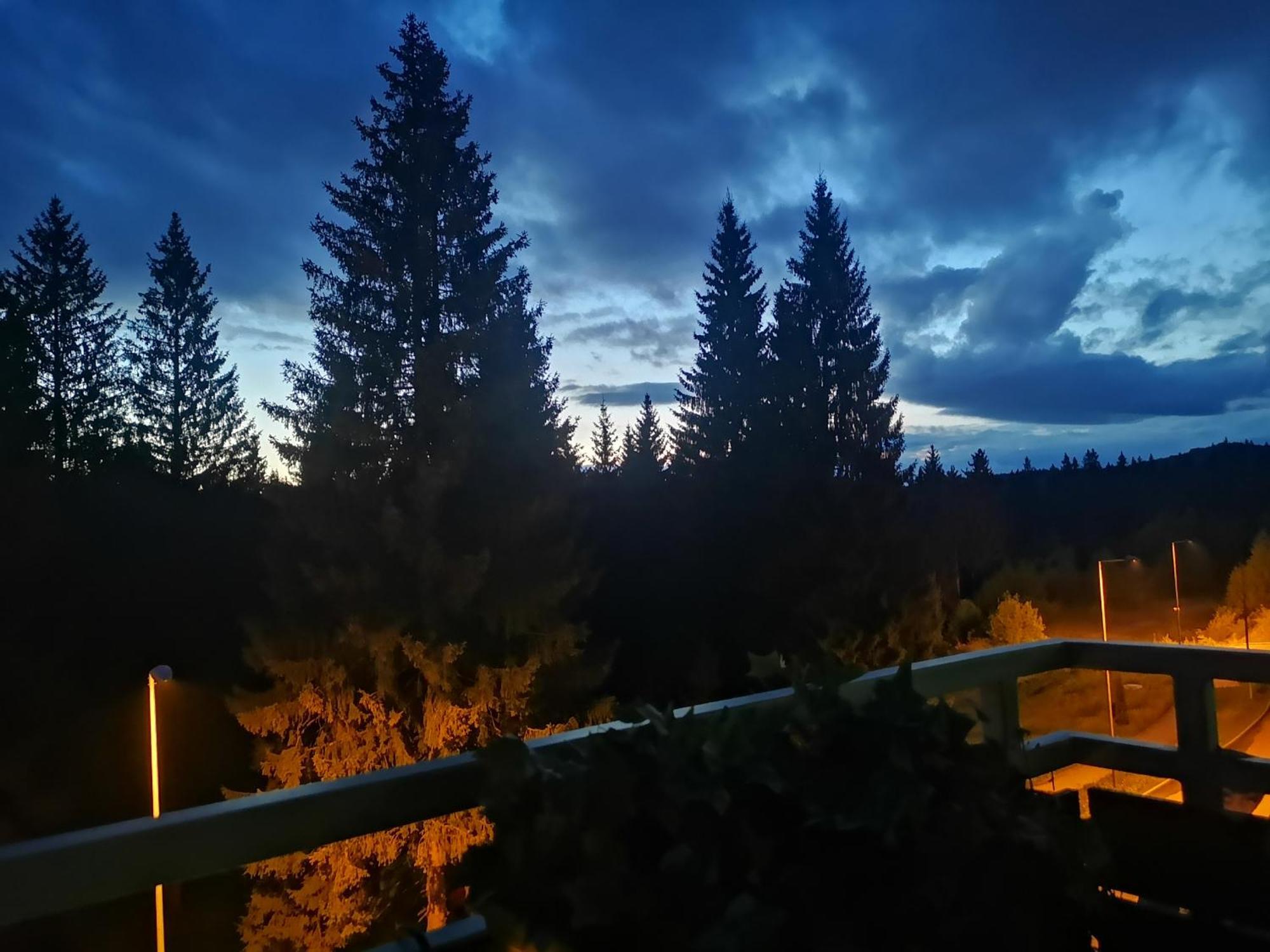The Evergreen Nest - Silver Mountain Poiana Brasov Bilik gambar